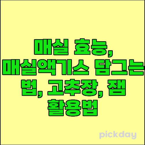 매실 효능, 매실액기스 담그는 법, 고추장, 잼 활용법