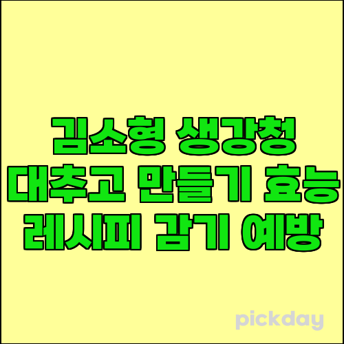 김소형 생강청 대추고 만들기 효능 레시피 감기 예방