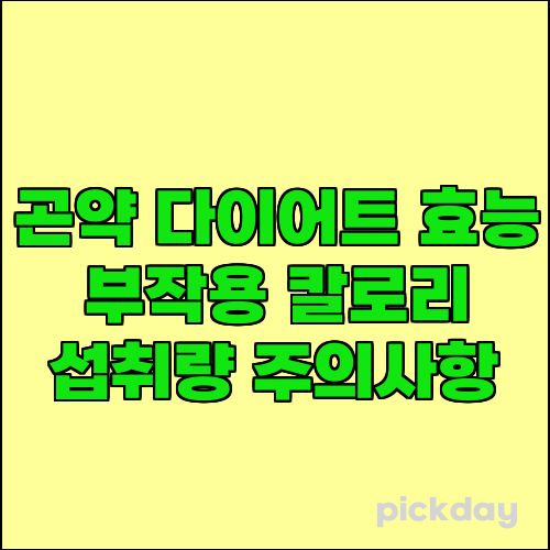 곤약 다이어트 효능 부작용 칼로리 섭취량 주의사항