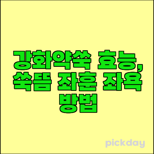 강화약쑥 효능, 쑥뜸 좌훈 좌욕 방법