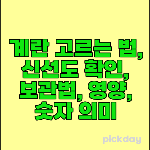 계란 고르는 법, 신선도 확인, 보관법, 영양, 숫자 의미
