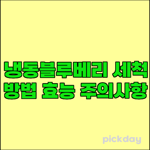 냉동블루베리 세척 방법 효능 주의사항